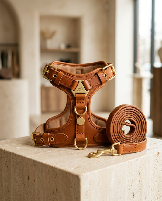 LuxeTrek™ Handcrafted Italian Leather Harness & Hands-Free Leash Set